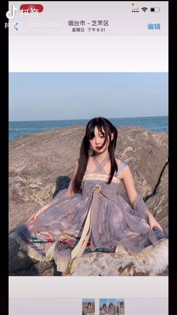 太炎兽烟紫你说向日葵是怎么熬过没有太阳的夜晚的