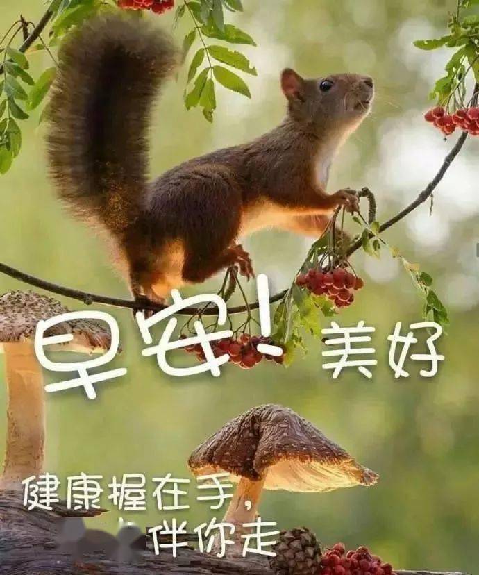 2021特别漂亮的早上好图片问候语祝福朋友问候早上好漂亮表情图片问候