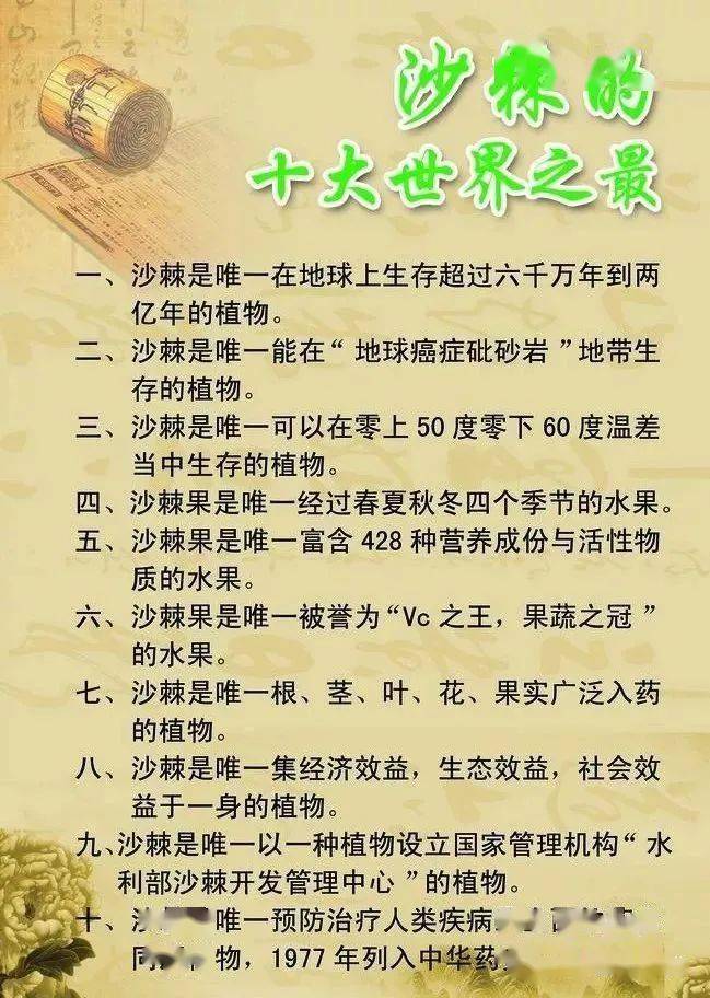 沙棘自我介绍