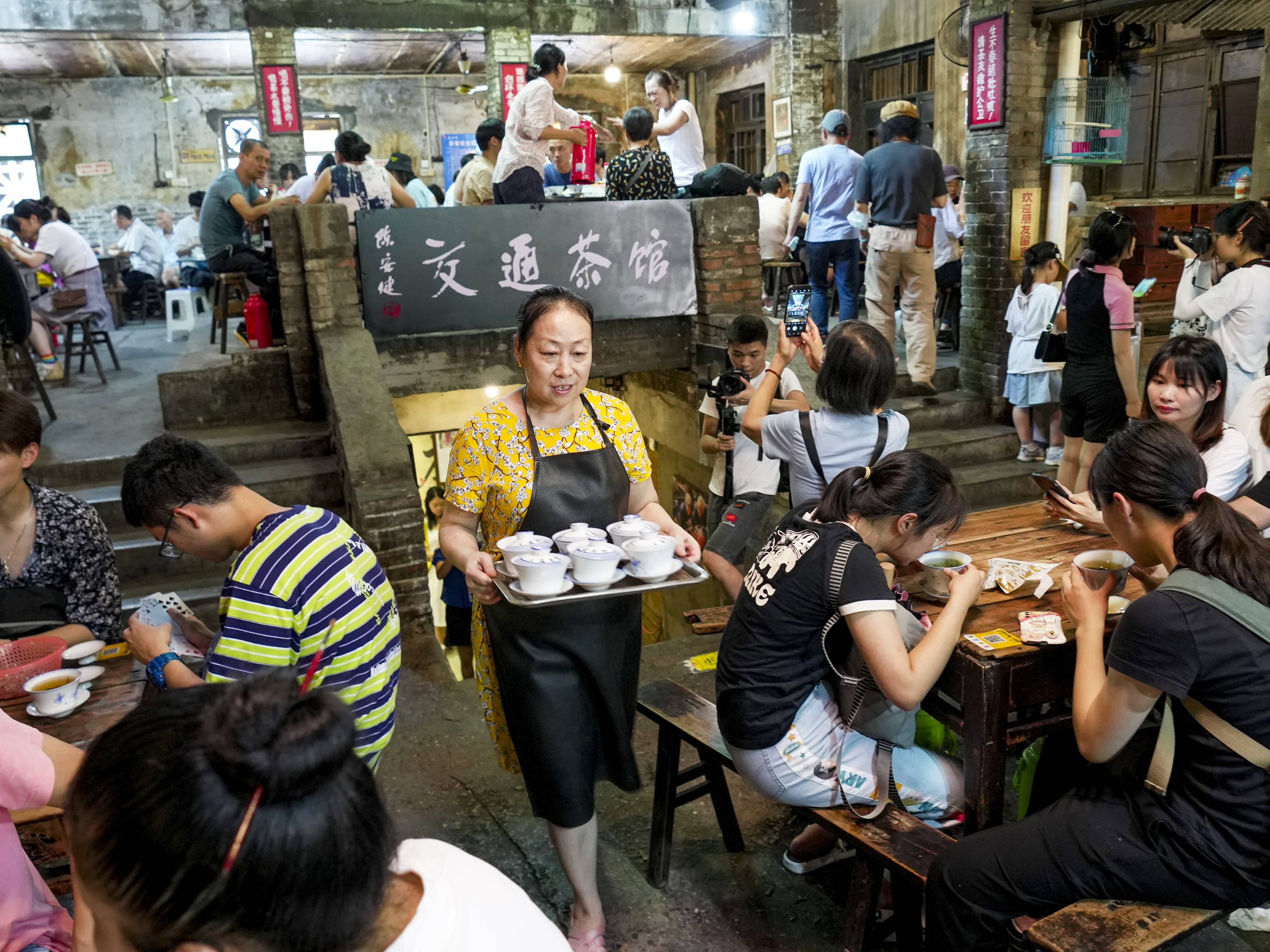 交通茶馆明星图片