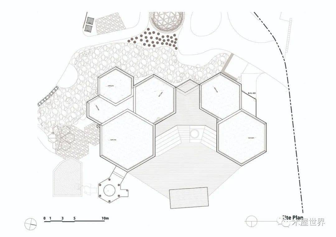 蜂巢般的木屋,韩国国家植物园儿童森林学校_建筑