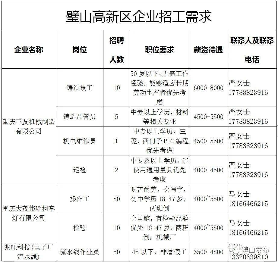 璧山招聘网_2019年百万英才兴重庆引才活动 民营企业引才服务月市区联动璧山区专场 招聘会成功举办(4)