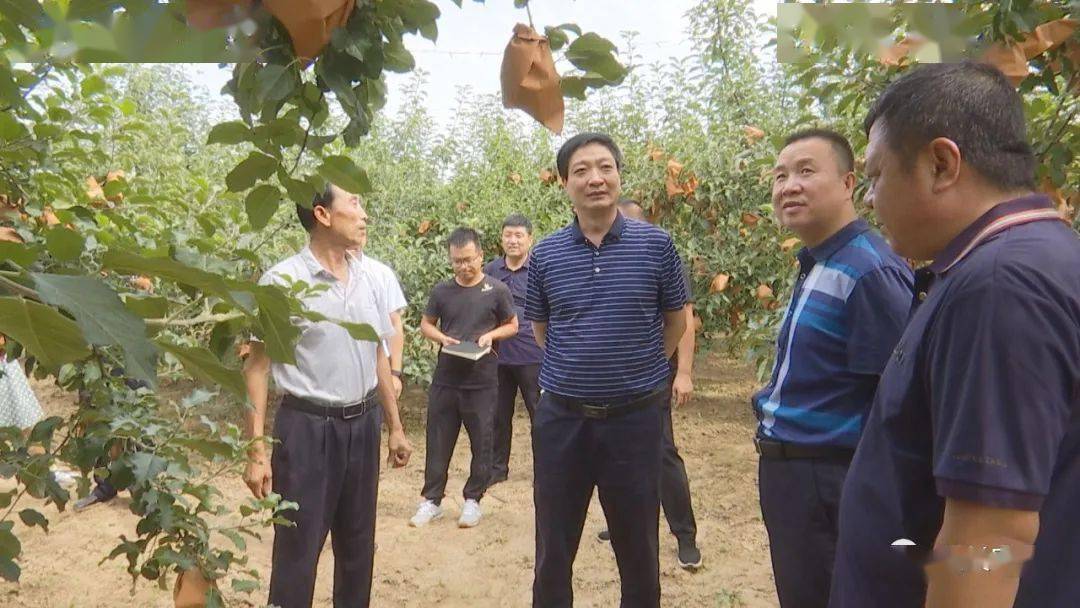 白宗奇调研农业农村和防汛工作_延长县