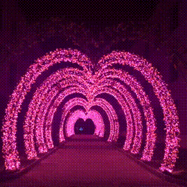 唱歌跳舞观看灯光秀演绎这样的夜晚最迷人~02泾县城区每当夜幕降临