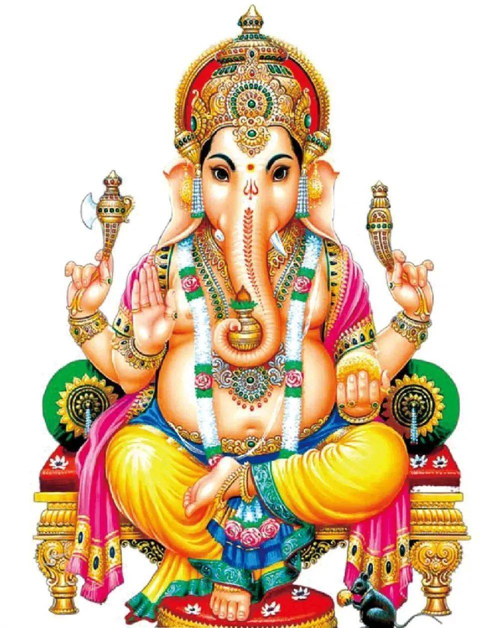 网红亚洲象的真实记录