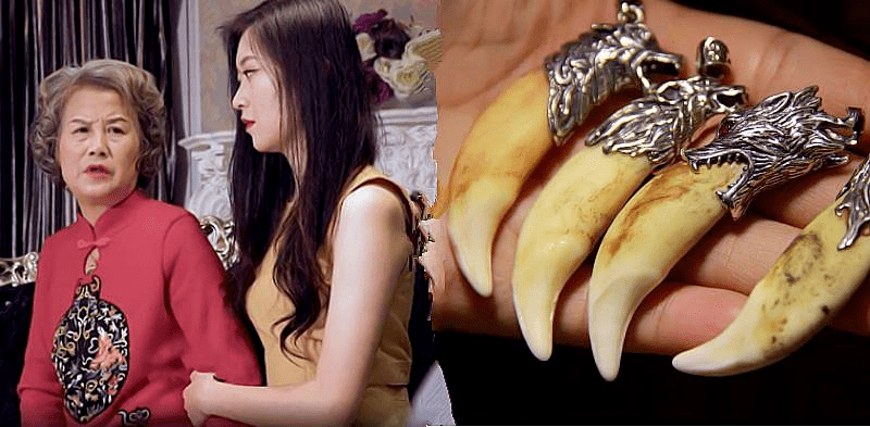 穷小子被女友抛弃,偶得古医门传承,从此医术通神,富可敌国!_朱琳琳