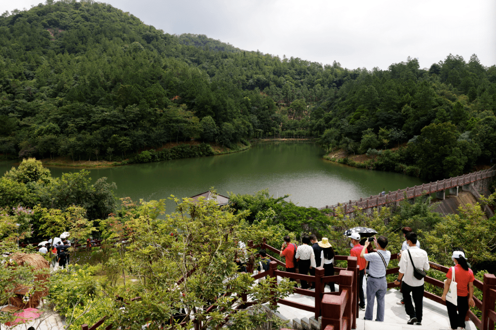 2 47万亩 广州又添生态新名片 白江湖森林公园开放 增城