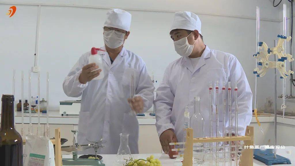 启航|【奋斗百年路 启航新征程】吐鲁番佳酿飘香全国