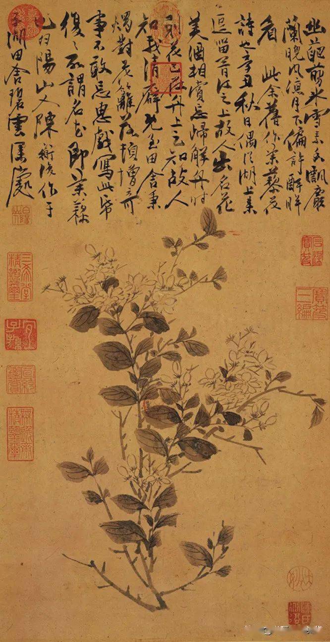 明代绘画大师白阳山人陈淳书画作品欣赏
