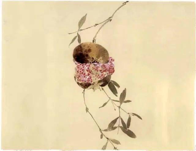 国画教程两种石榴的画法