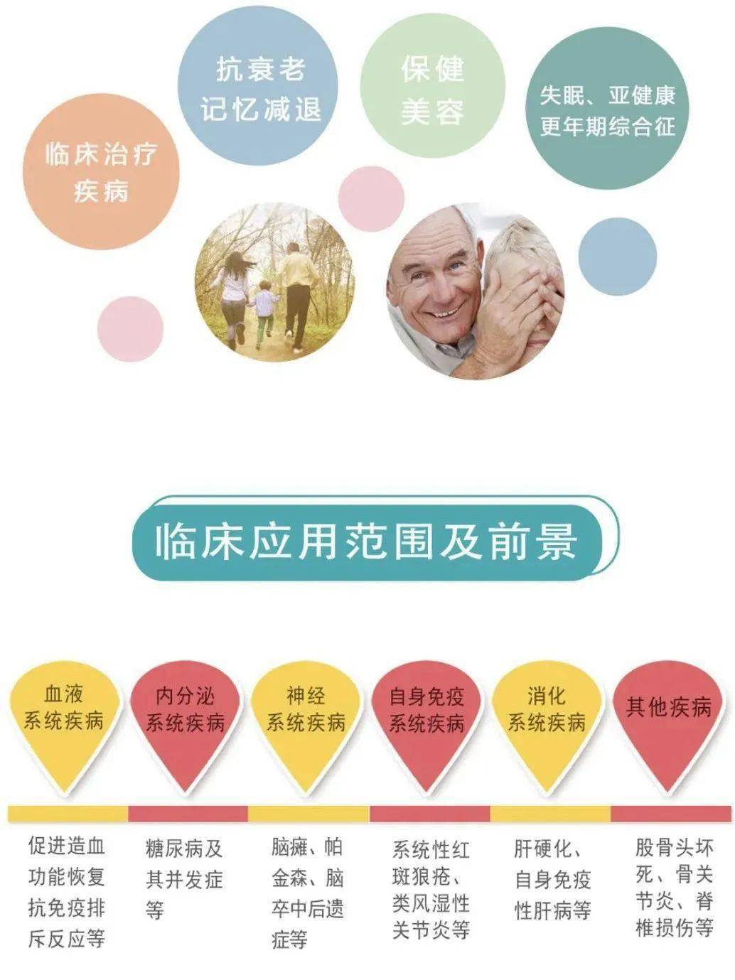 干细胞强化防御回归健康状态