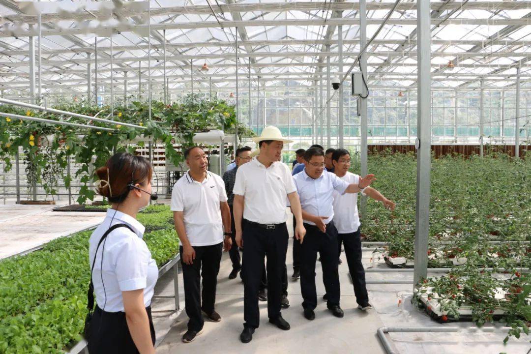 张立平在角弓石门两水等乡镇调研指导当前重点工作