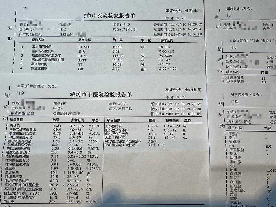 佰子医疗涉嫌非法代孕、贩卖婴儿：几万元到十数万元(图7)