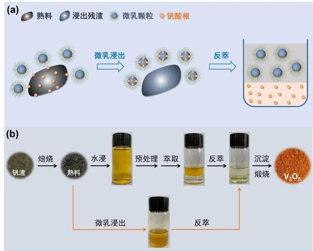 图(a)为微乳液浸出机理图示意图,熟料中的钒可直接负载在微乳相,通过