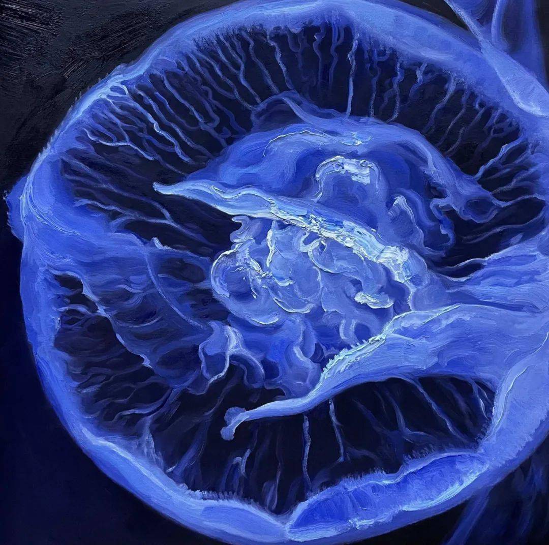 artistc王依然水母系列17