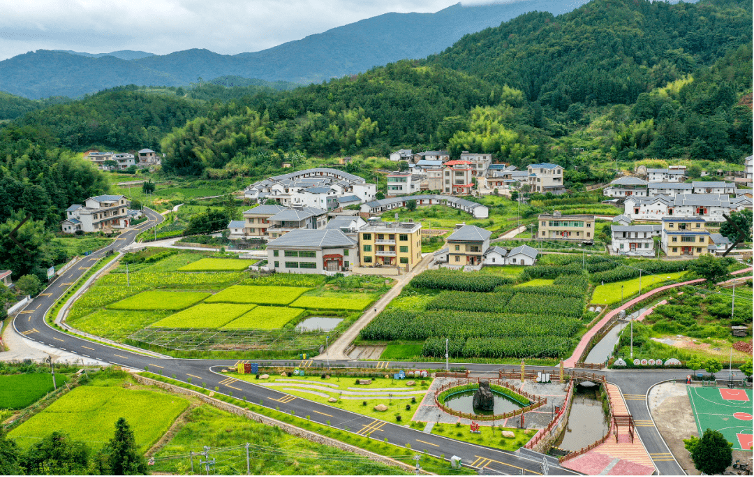 梅州扮靓客都绿水青山铺筑乡村振兴大道