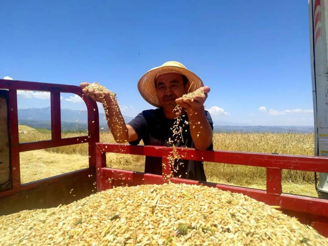 森口瑶子山东某村民一家六除夕当天全部被害最小的孩子只有四岁 艾薇档案社