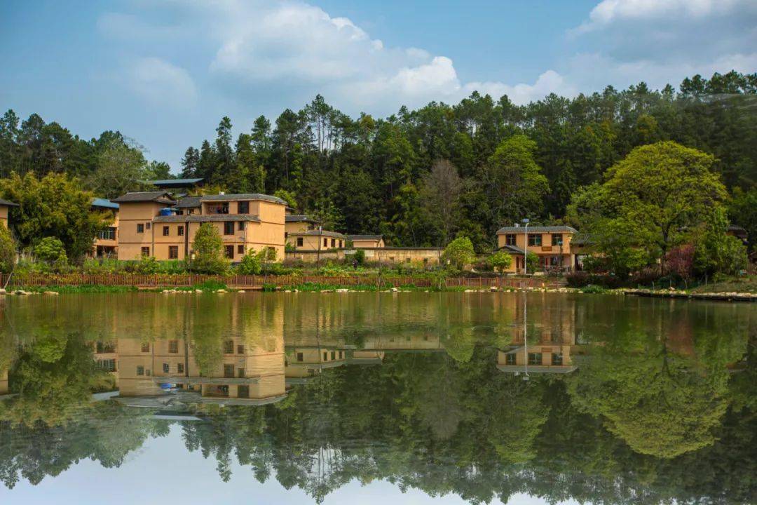 竹筒饭,灰水板,逛古村,周六黄砂口景区与您一起尝新米!_口村