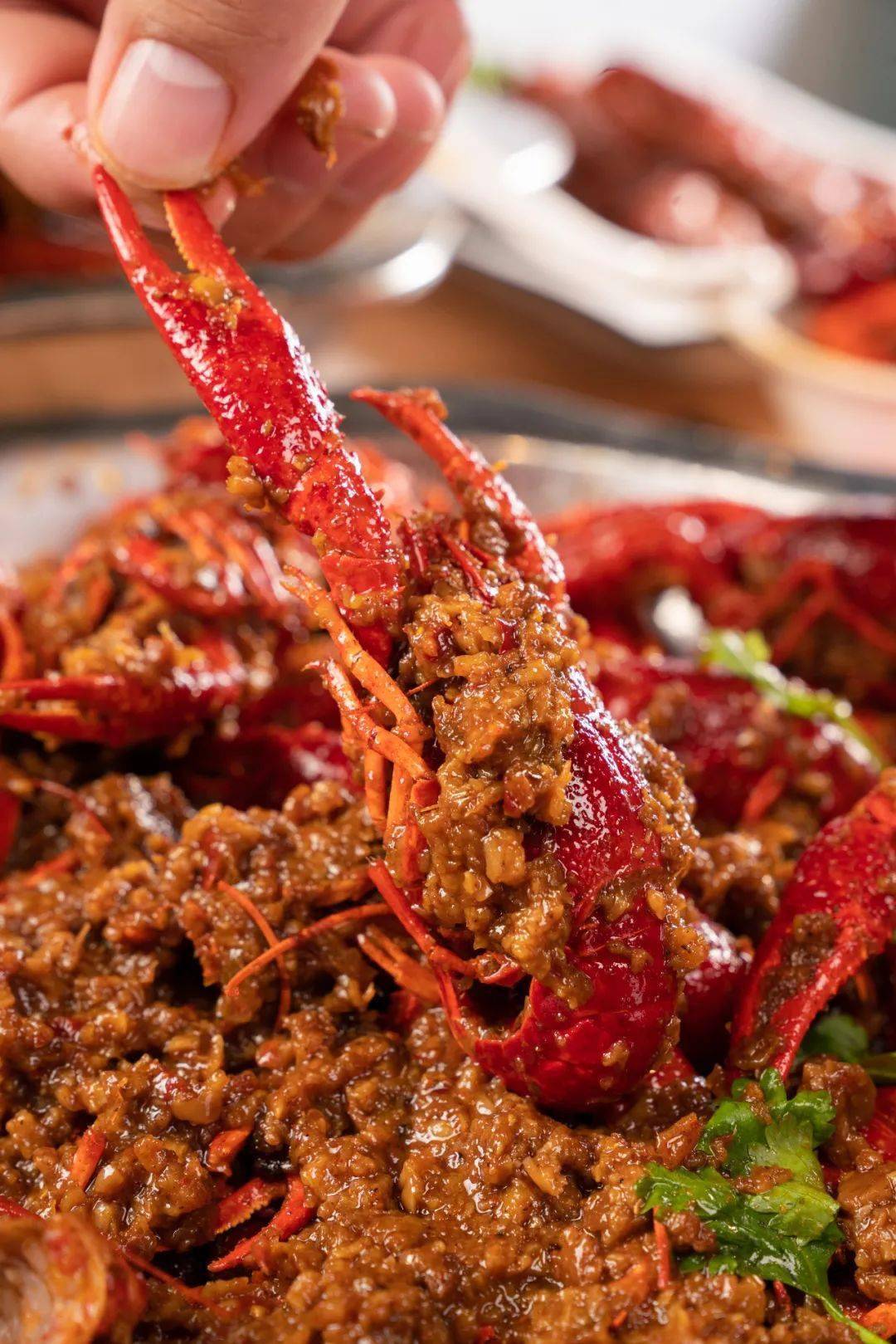 蚌埠蚂虾老大哥为啥这么晚才来