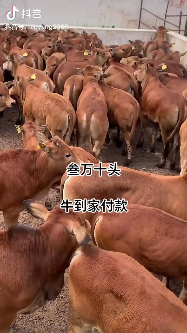 童心陪伴趣造世界dou小助手