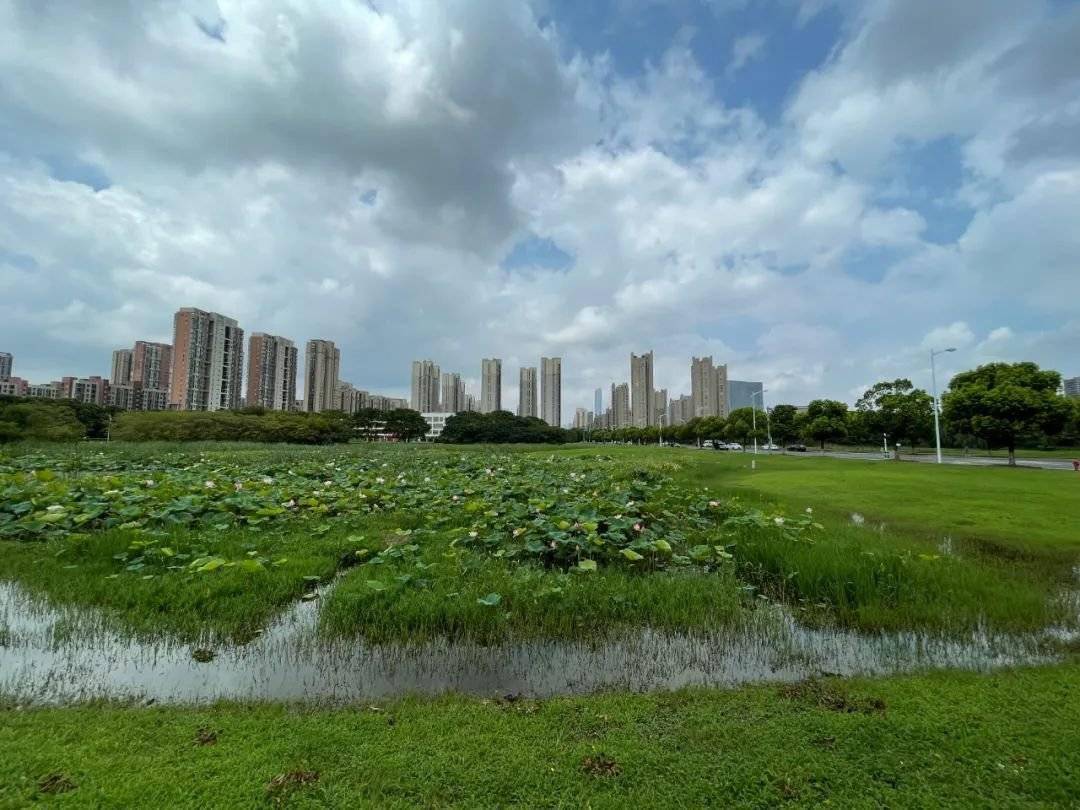 而且緊靠鍾南街地鐵站,與永旺僅一路之隔.誰說園區沒