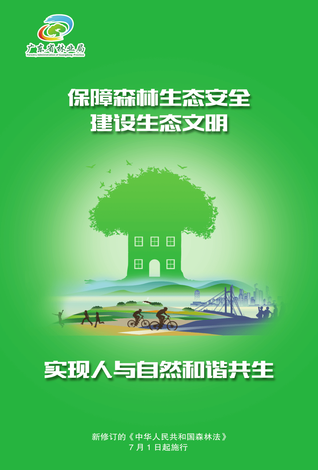 《中华人民共和国森林法》:筑起守护绿水青山的坚实法律保障