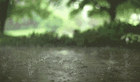 b4647232fd4d4364a20c6968ad70e9c4.gif