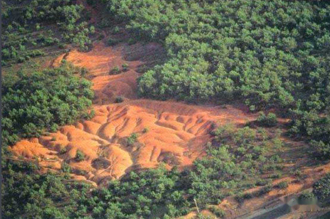 地表植被遭到破坏,土壤侵蚀严重,出现红色荒漠