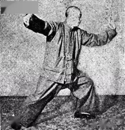 8董英杰先生"太极拳练法,以心行气,不用浊力,纯任自然,筋骨鲜折曲之苦