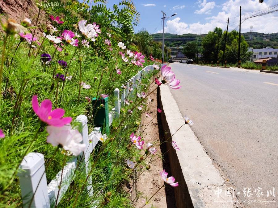 张棉驿|【小康圆梦·看张家川】张棉驿乡：一个美丽浪漫的丝路古驿小镇