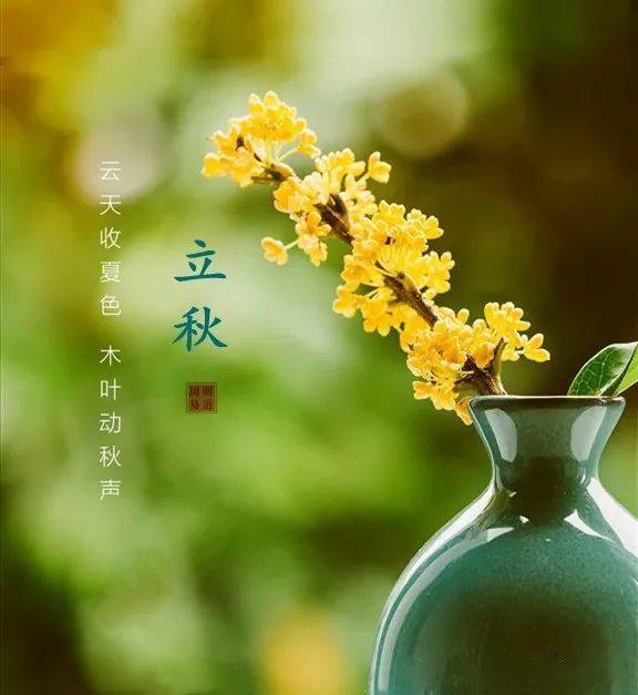 明道通胜 21年8月6日-8月9日_辛丑年