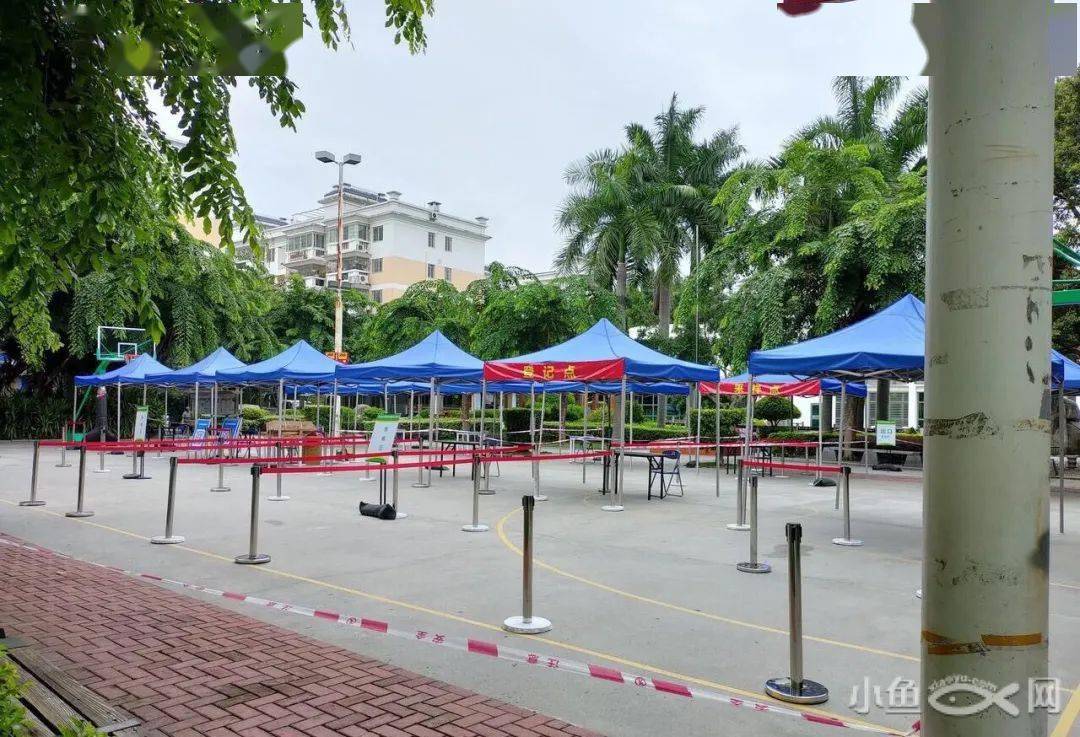 进行|“今早路过厦门这里，水上一片白花花的全是死鱼，好吓人，还看到有人...”