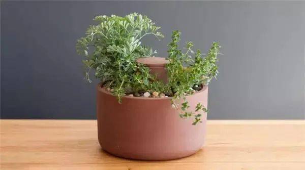 �����ɲ�������˵˵���У�