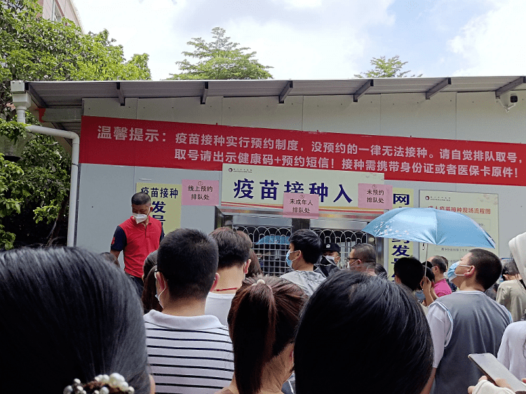 进行|“今早路过厦门这里，水上一片白花花的全是死鱼，好吓人，还看到有人...”