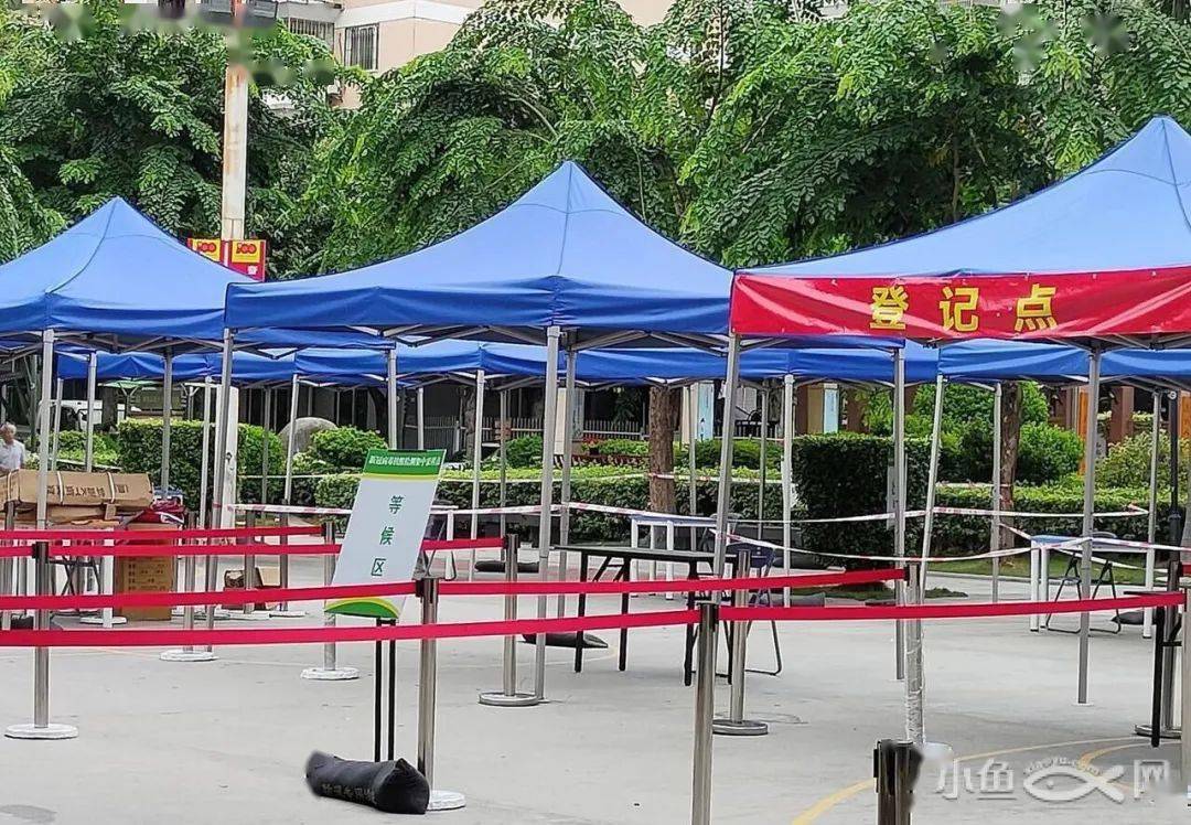 进行|“今早路过厦门这里，水上一片白花花的全是死鱼，好吓人，还看到有人...”