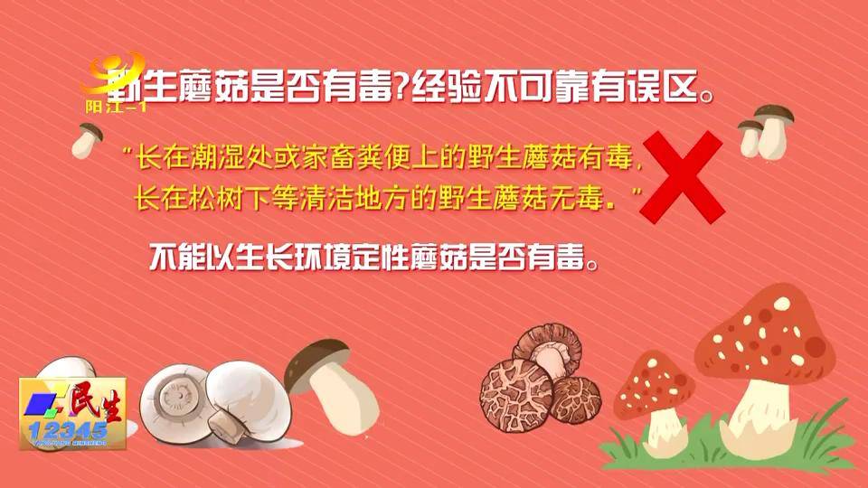 有毒|医生提醒：蘑菇辨识有盲区 经验不可靠