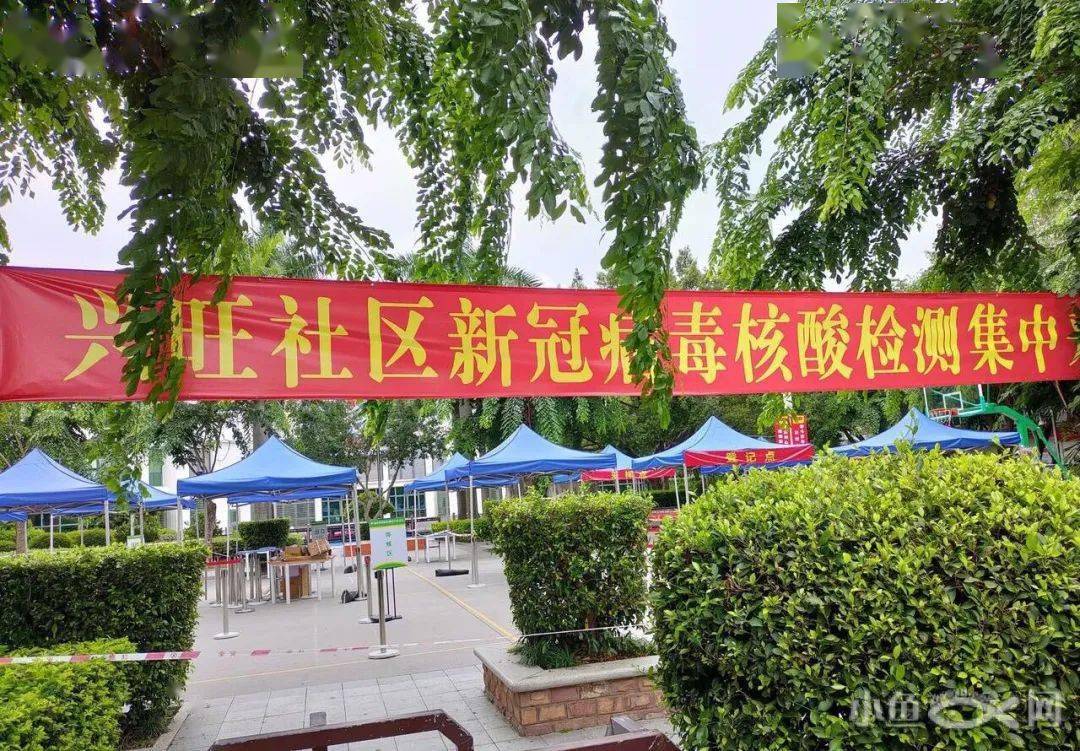 进行|“今早路过厦门这里，水上一片白花花的全是死鱼，好吓人，还看到有人...”