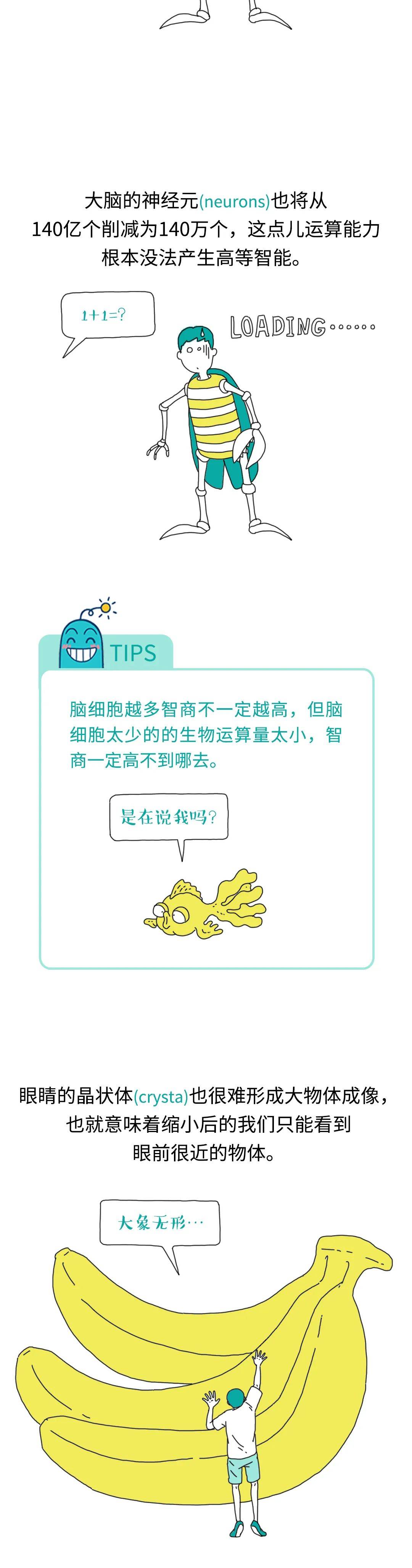 邢昕|哆啦A梦的缩小放大灯原来是个坑？