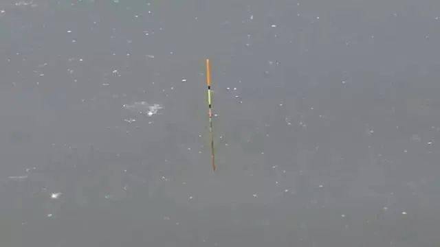 这10种漂相看不懂你的鱼还没钓明白