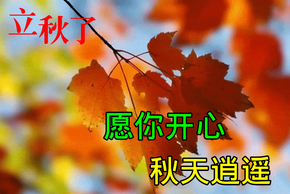 今日立秋,早上好动态表情图片及动图美图大全_问候