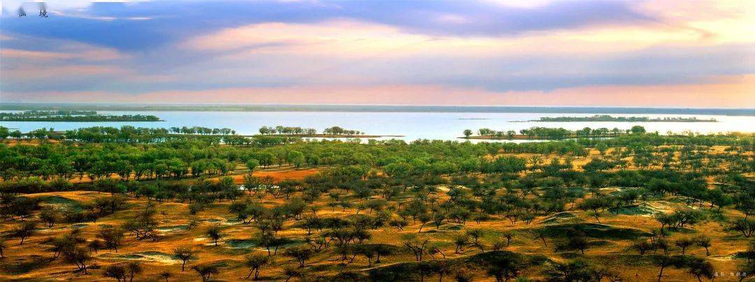 旅游产品,有机农园等向海村有美丽而又神秘的向海上榜第三批全国乡村