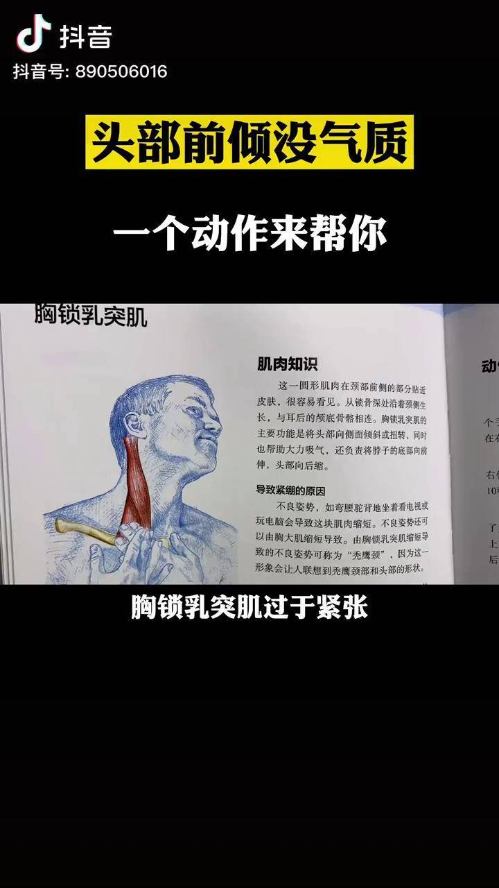 一个动作调整头部前引优化体态体态纠正头部前倾好书推荐