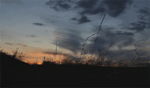 当太阳落下,又升起来的时候,一切都变了,一不小心就再也回不去了.