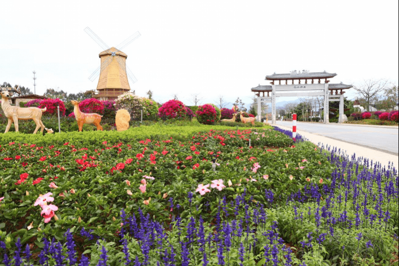 广州|广州从化区西和村入选第三批全国乡村旅游重点村