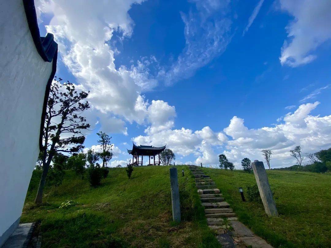 左右滑动查看更多南梅村2021年上半年,秀洲区8个3a级景区村庄累计接待