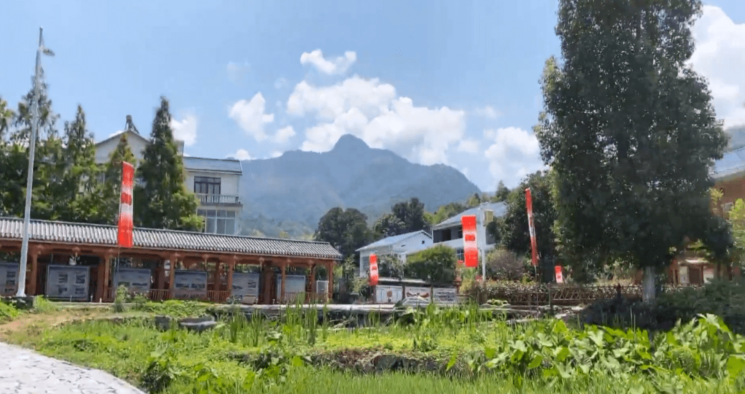 看三明 | 乡村振兴示范线沿线乡镇系列直播第三期走进建宁濉溪镇_旅游