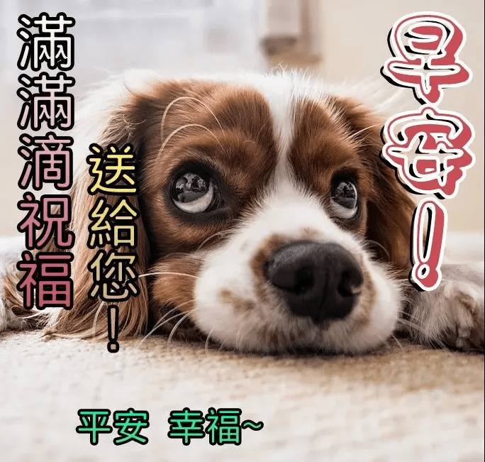 能够体现自己的价值就是一种难得的幸福早安