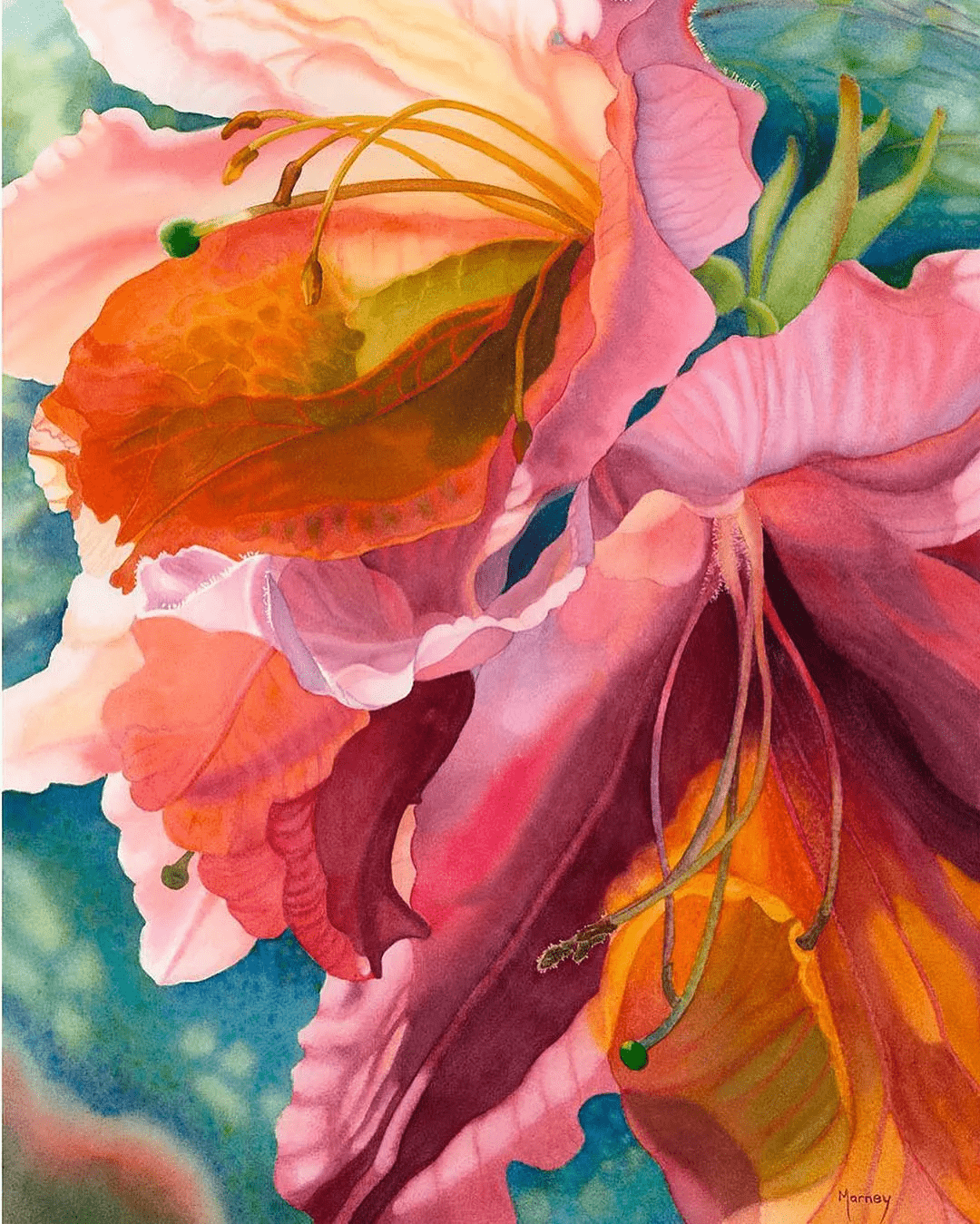 她55岁才开始画水彩从无名小卒到水彩大师作品美翻无数网友