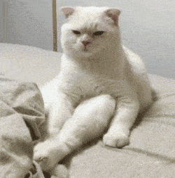 影响|经常凌晨3、4点醒来就睡不着？可能和3个原因有关！