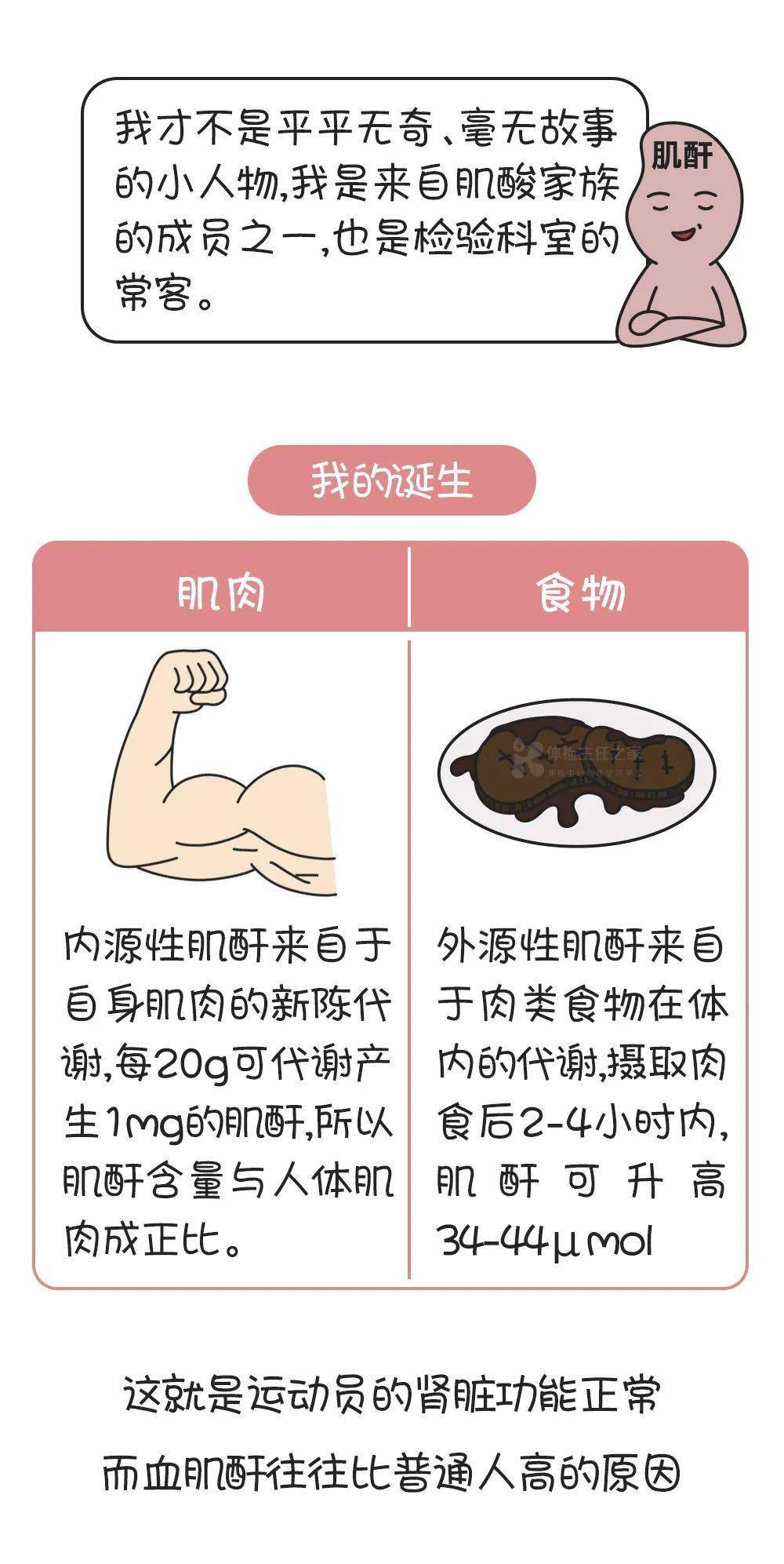 科普 发现 肌酐 升高,千万别大意 小心